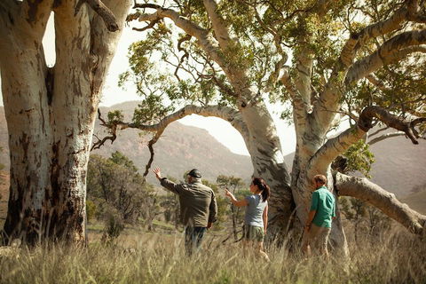 Yura Udnyu - Our Culture, Your Culture (Aboriginal Cultural Walk) - St Kilda Accommodation 5