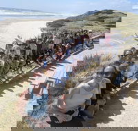 3 Day Tasmanian Wild West Coast Tour from Hobart to Launceston - St Kilda Accommodation