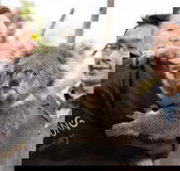 Bonorong Wildlife Park and Richmond Afternoon Tour from Hobart - St Kilda Accommodation