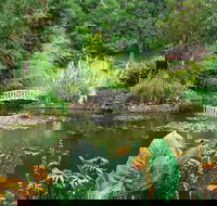 Hobart Half-Day Sightseeing Coach Tram Tour - St Kilda Accommodation