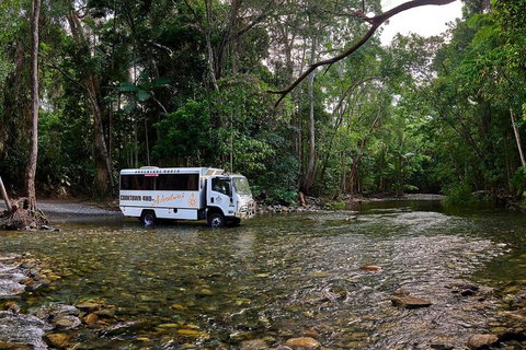 3 Day Cape Tribulation & Cooktown Tour From Cairns Or Port Douglas - St Kilda Accommodation 3