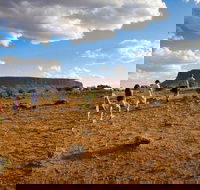 Mount Conner 4WD Small Group Tour from Ayers Rock including Dinner - St Kilda Accommodation