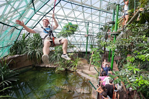 Cairns ZOOM And Wildlife Dome - St Kilda Accommodation 4