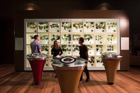 Australian Wine Discovery Tour Ticket - St Kilda Accommodation 3
