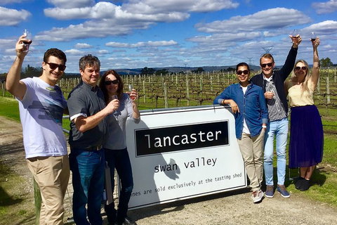 Swan Valley Tour From Perth: Wine, Beer And Chocolate Tastings - St Kilda Accommodation 1