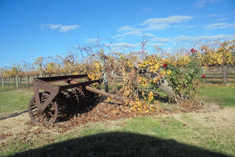 Swan Valley Tour From Perth: Wine, Beer And Chocolate Tastings - St Kilda Accommodation 3