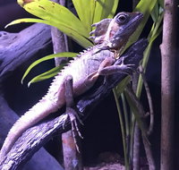 Cairns Aquarium Admission Ticket - St Kilda Accommodation