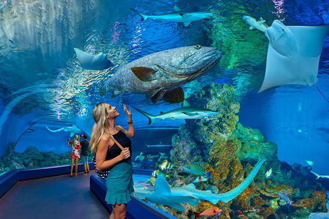 Cairns Aquarium Admission Ticket - St Kilda Accommodation 3