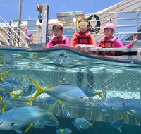Outer Reef Pontoon Experience from Cairns - St Kilda Accommodation