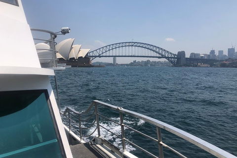 Sydney Harbour Discovery Cruise Including Lunch - St Kilda Accommodation 3