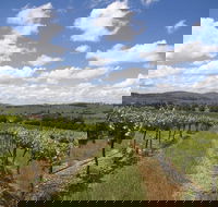 Hunter Valley Wine Tour from Sydney incl Lunch Cheese Chocolate and Distillery