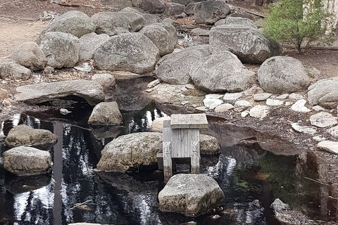 Bendigo, Echuca & The Mighty Murray - St Kilda Accommodation 1