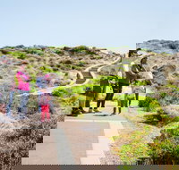 Margaret River Coastal and Wildlife Eco Trip from Busselton or Dunsborough - St Kilda Accommodation